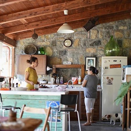 B&B Casa Dei Nonni Scario Bagian luar foto