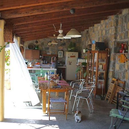 B&B Casa Dei Nonni Scario Bagian luar foto